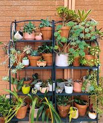 28 Genius Garden Plant Shelf Ideas