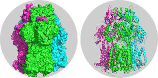 haddock small molecule binding site