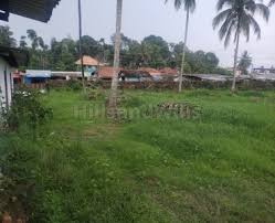 4 acres agriculture land in