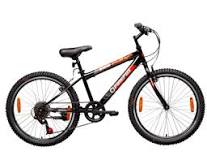 Image result for What bike should a 10 year old have?