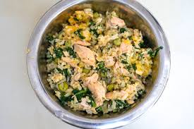 salmon dog food recipe with spinach