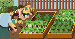 how to start a school garden fix com