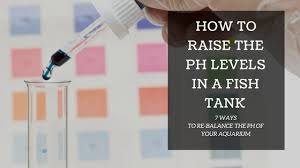 How To Raise Ph Levels In A Fish Tank 7 Ways To Rebalance