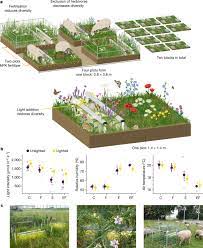 Nutrient Effects On Plant Diversity