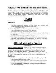 Blood Vessels Veins Exercise 32 About Blood Vessels When You