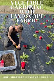 plant a garden with landscape fabric
