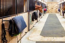 53 must have items for horse stalls