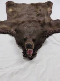brown bear taxidermy rug bb 107