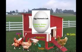 All formats available for pc, mac, ebook readers and other mobile devices. Egg Osmosis Lab By Rayya J