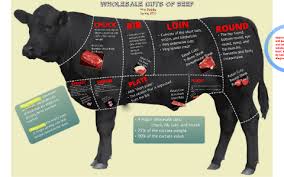 Wholesale Cuts Of Beef By Amanda Pombo On Prezi
