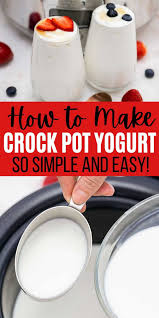 easy homemade slow cooker yogurt recipe