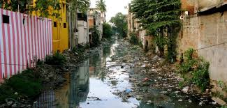 Firstly, the disappearance of biodiversity and aquatic ecosystems. How Water Pollution In India Kills Millions Borgen