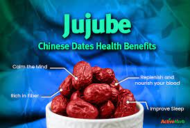 tcm benefits of jujube fruit chinese