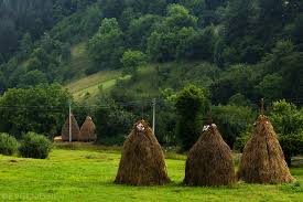 Рибарица – Evgeni Dinev Photography