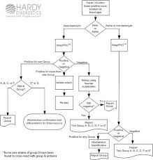 Biochemical Test Flow Chart Herbertspencer3s Blog