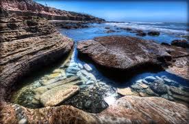 15 Exact Low Tide Point Loma Tide Pools