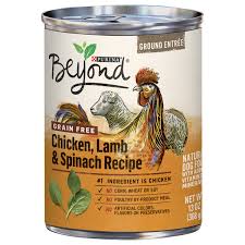 Save on Beyond Wet Dog Food Chicken Lamb & Spinach Recipe Grain Free  Natural Order Online Delivery | Giant