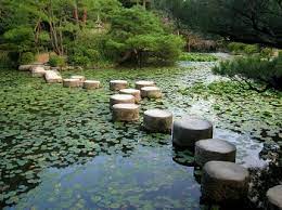 anese pond gardens design plants