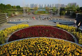 Es ist also kaum verwunderlich, dass dort im rahmen der expo 2010 der größte botanische garten chinas seine pforten öffnete. Shanghai Sehenswurdigkeiten Stadte Shanghai Goruma