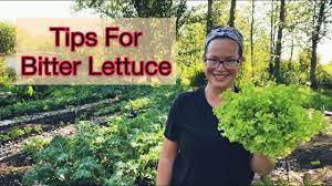how to make lettuce less bitter pnw