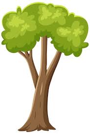 tree clip art images free on