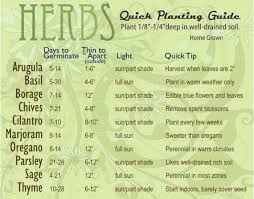Vegetable And Herb Seed Germination Chart Growing Herbs