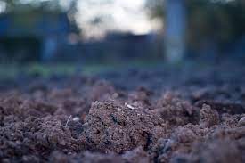 how to get the best from your clay soils