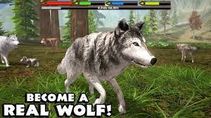 Ultimate Wolf Simulator Android Apps on Google Play
