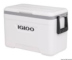 igloo rigid icebox up to 100 litres
