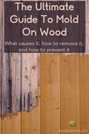 what kills mold on wood mold help