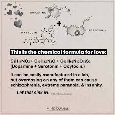 This Is The Chemical Formula For Love