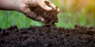 How To Create Healthy Soil Milorganite
