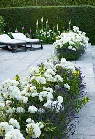 Bringing your space to life with a modern garden, has never been easier. Classic Contemporary Beautiful White Flowers Green Walls Loungers Beautiful Gardens Outdoor Gardens Beautiful Flowers Garden