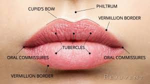 natural and beautiful lips