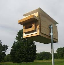 Nest Boxes For Tree Swallows You Can