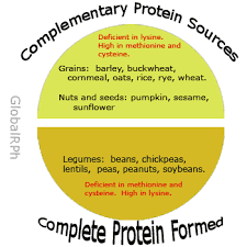 Scientific Example Of Complete Protein 2019