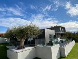 maison toit terre moderne