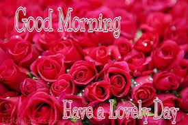 good morning rose have a lovely day