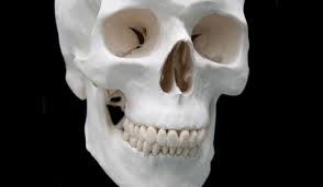 Calcium is great for increasing the strength of your bones and teeth. Why Are Teeth Not Considered Bones Live Science