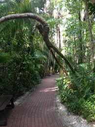 Pin On Sarasota Jungle Gardens