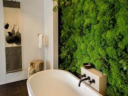 Plants To Grow In Your Bathroom