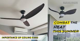 install a ceiling fan in your house