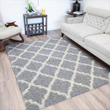 indoor area rug