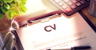 Downloadable sample of a simple but professional c.v/resume. How To Write A Professional Cv Pulse Nigeria