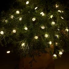 Indoor And Outdoor Led String Lights
