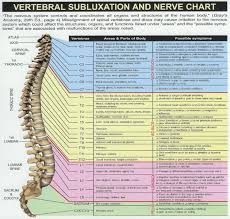 Vertebral Subluxation And Nerve Chart Pingpingbowen Therapy
