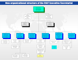 Executive Secretary Adopts New Organizational Structure Ciat