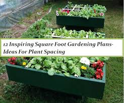 square foot gardening plans ideas