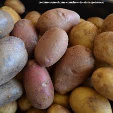How To Potatoes Long Term