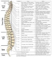 Chart Of Effects Of Spinal Misalignments Nadabahu Com